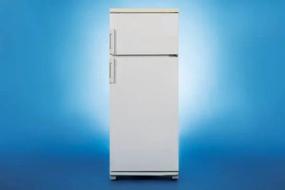 The 5 Best Forno Refrigerators