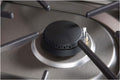 Majestic II 48 Inch Dual Fuel Liquid Propane Freestanding Range in Glossy Black with Bronze Trim - America Best Appliances, LLC